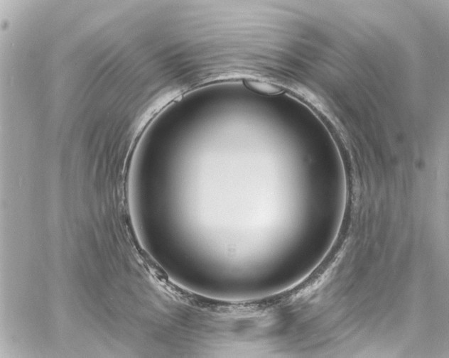 X0000060811145200511141459