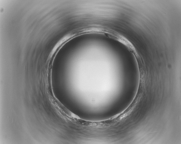 X0000060811146200511141459