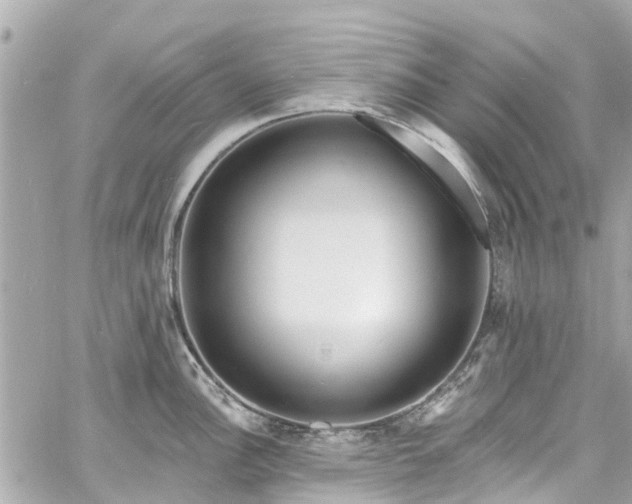 X0000060811148200511141459