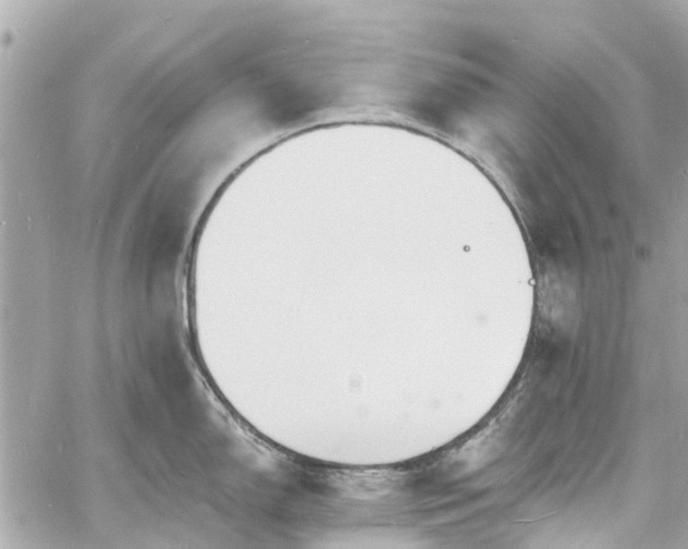 X0000060811150200511141459