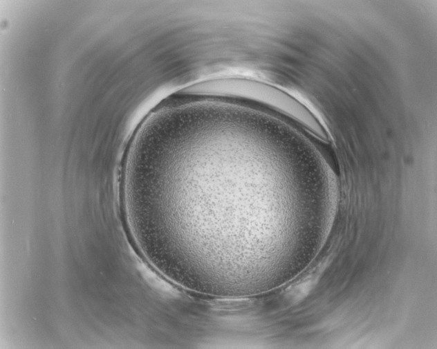 X0000060811151200511141459