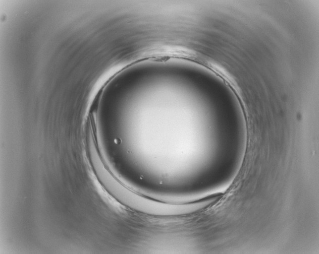 X0000060811152200511141459