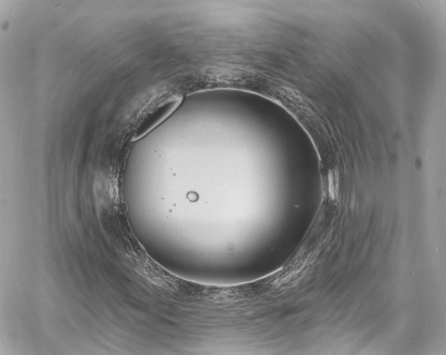 X0000060811155200511141459