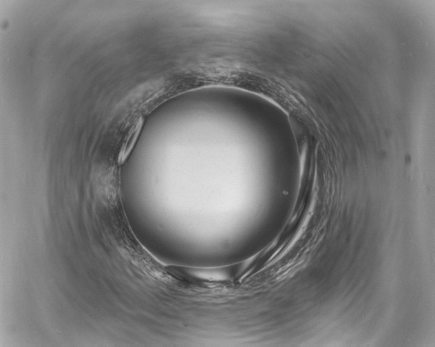 X0000060811156200511141459