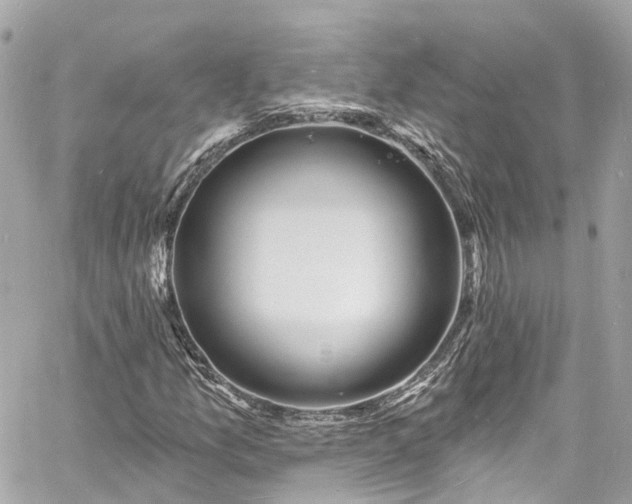 X0000060811157200511141459