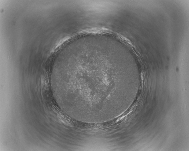 X0000060811158200511141459