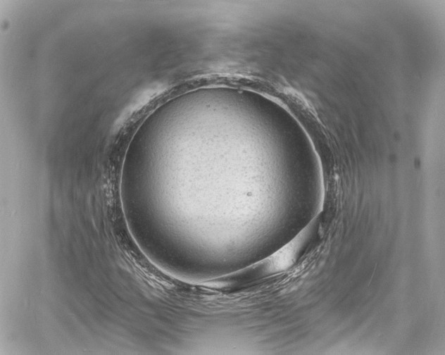 X0000060811159200511141458