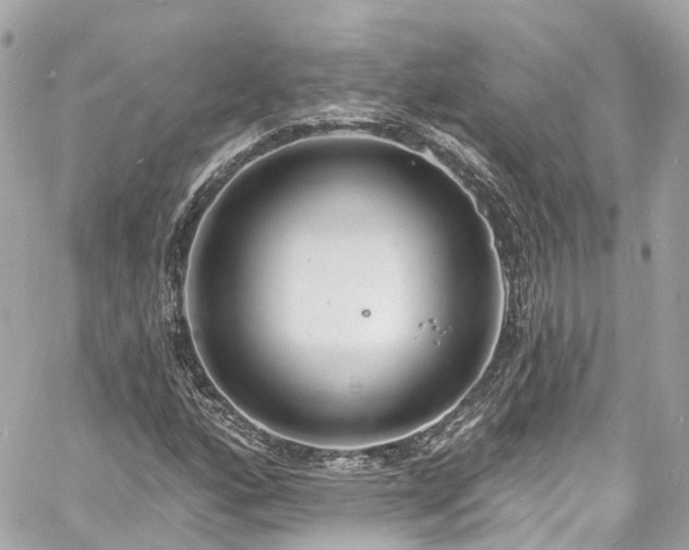 X0000060811160200511141458