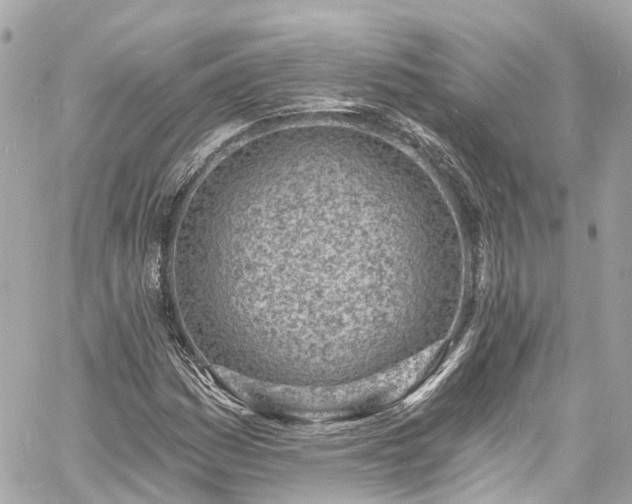 X0000060811161200511141458