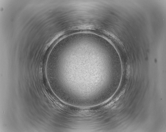 X0000060811162200511141458