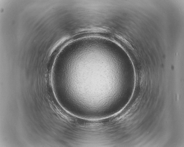 X0000060811163200511141458