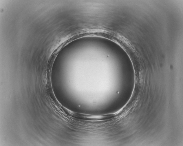 X0000060811165200511141458