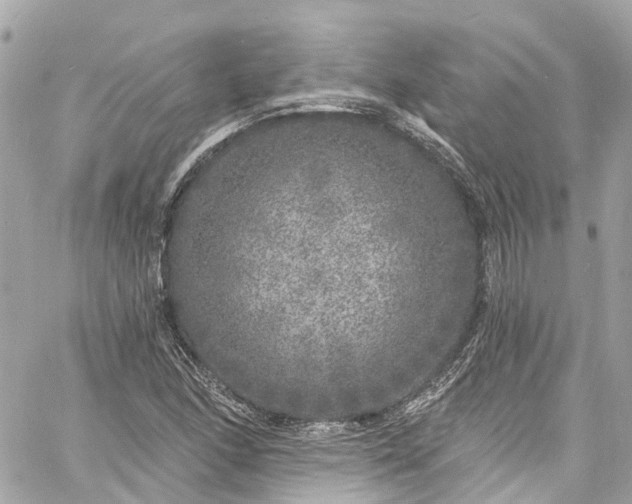 X0000060811166200511141458