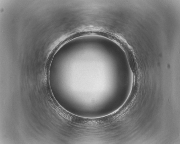 X0000060811167200511141458