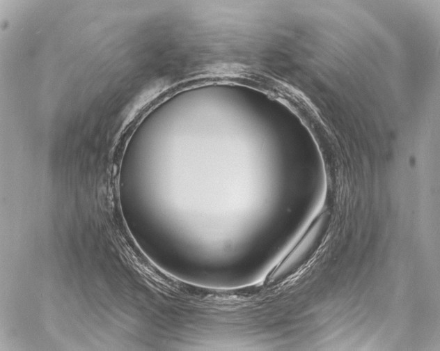 X0000060811168200511141458