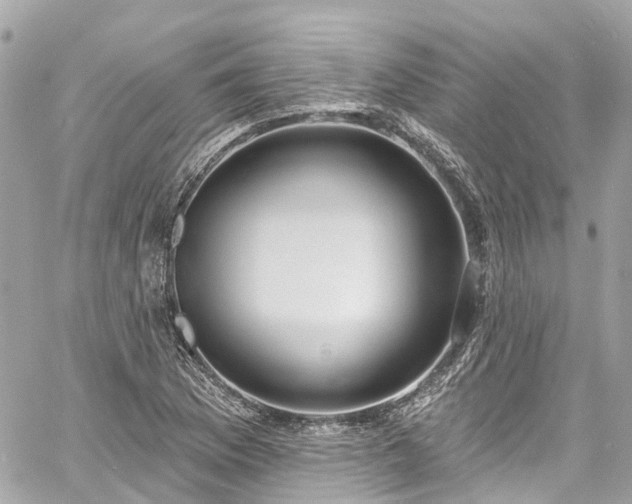 X0000060811169200511141458