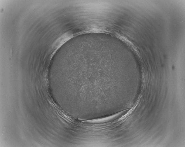 X0000060811170200511141458