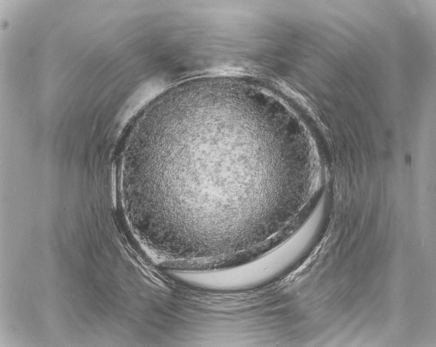 X0000060811171200511141458