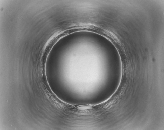 X0000060811172200511141458