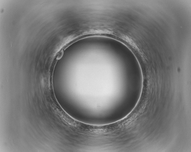 X0000060811173200511141458