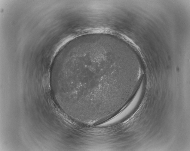 X0000060811174200511141458