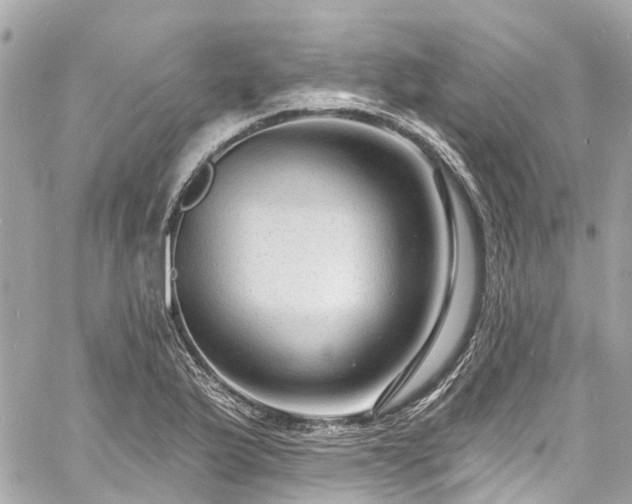 X0000060811175200511141458