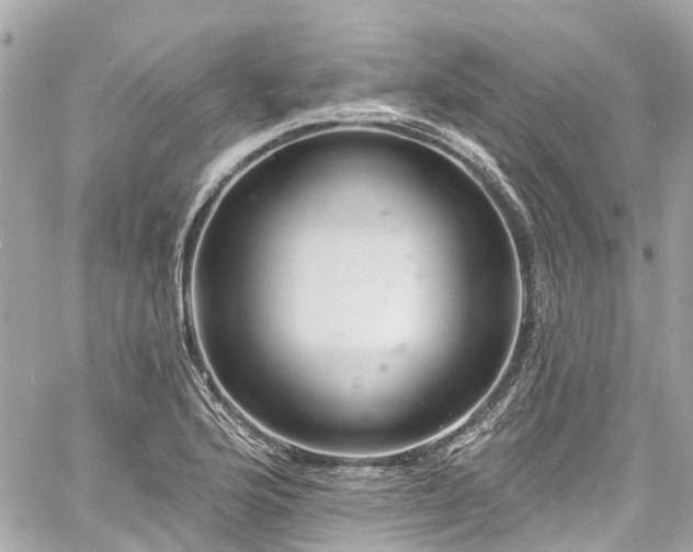 X0000060811176200511141458