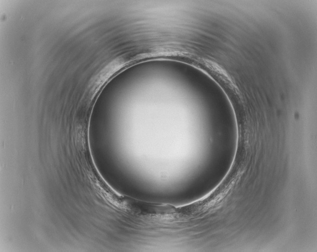 X0000060811177200511141458