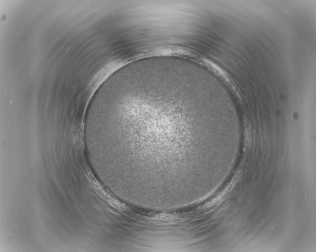 X0000060811178200511141458