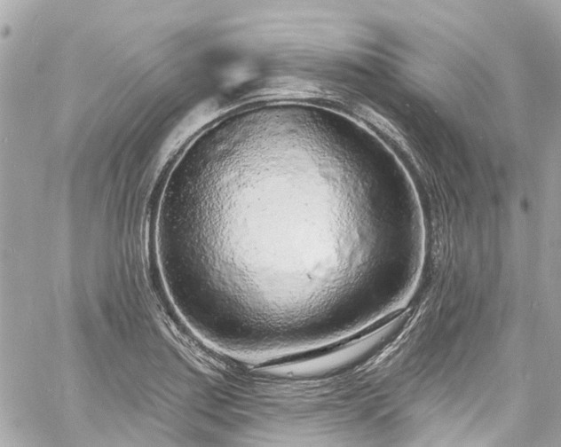 X0000060811179200511141458