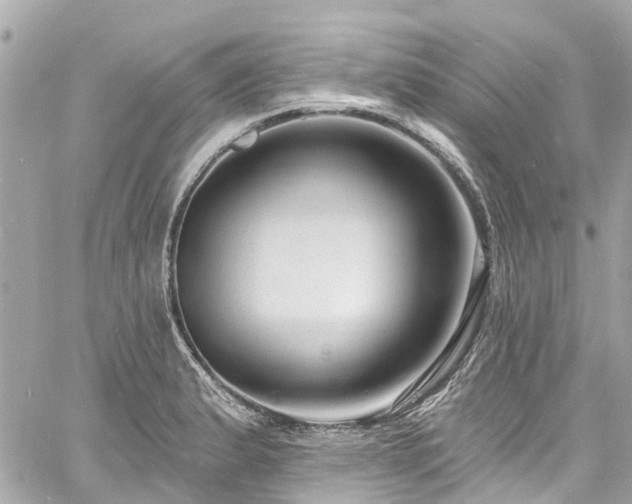 X0000060811183200511141458