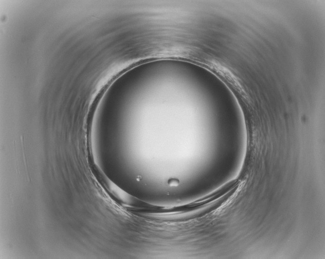 X0000060811184200511141458