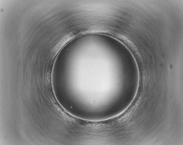 X0000060811185200511141458