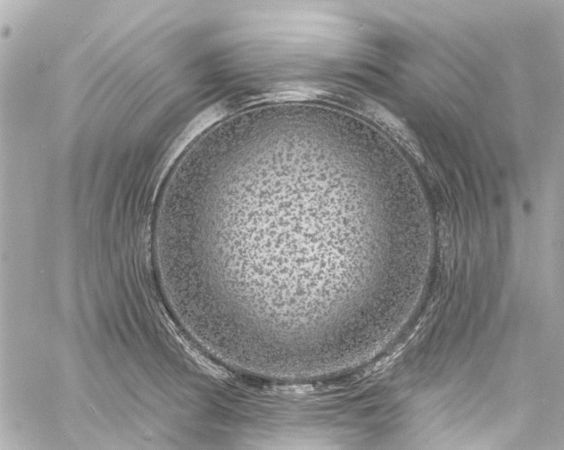 X0000060811186200511141458