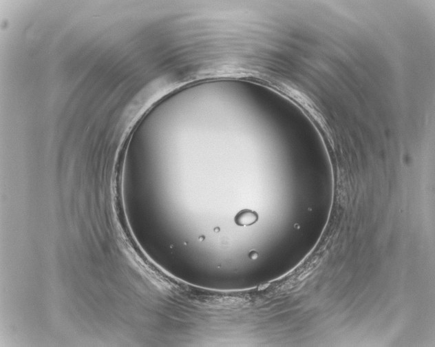 X0000060811187200511141458