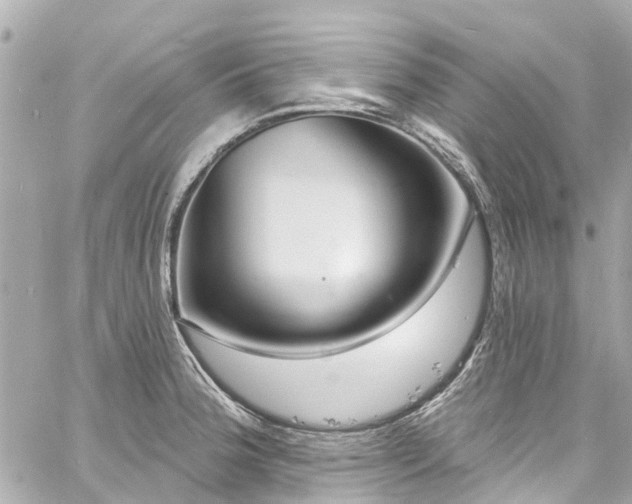 X0000060811188200511141458