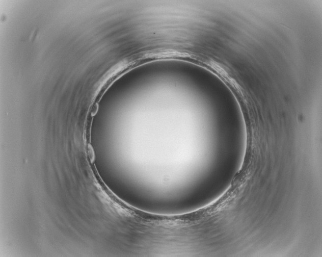 X0000060811189200511141458