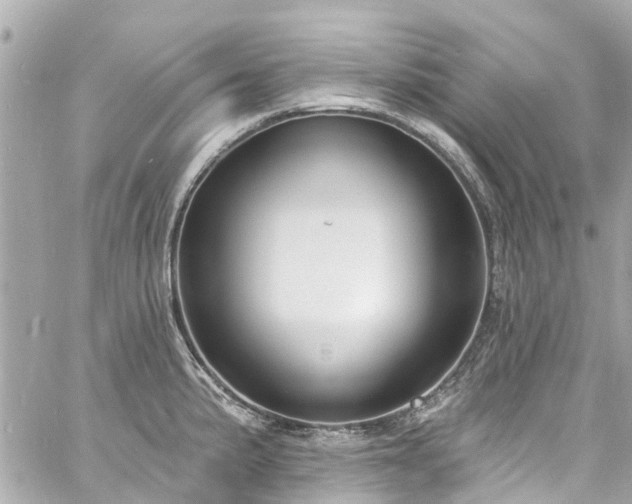 X0000060811191200511141458