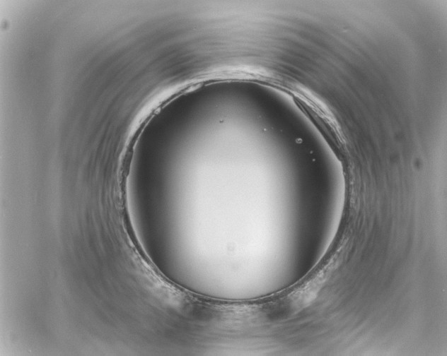 X0000060811192200511141458