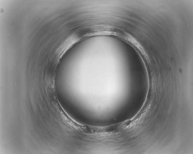 X0000060811193200511141458