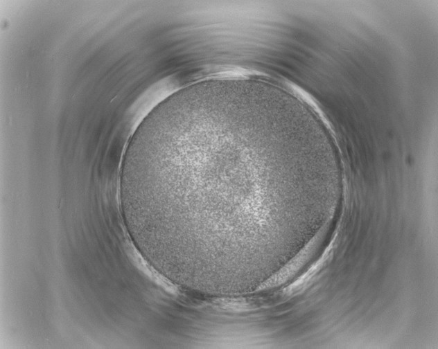 X0000060811194200511141458