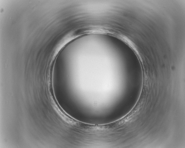 X0000060811195200511141458