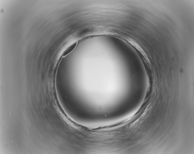 X0000060811197200511141458