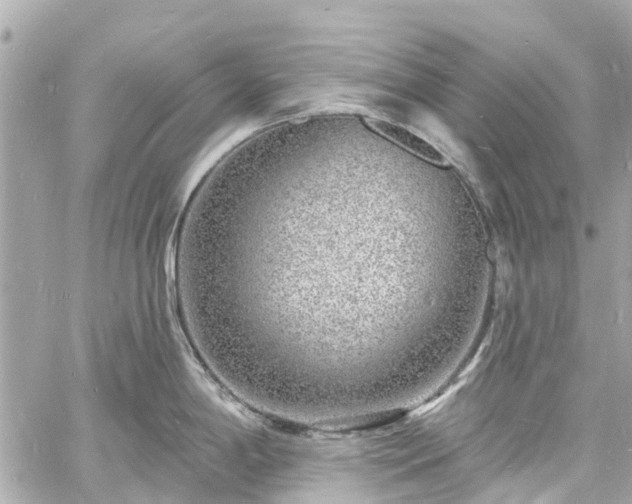 X0000060811198200511141458