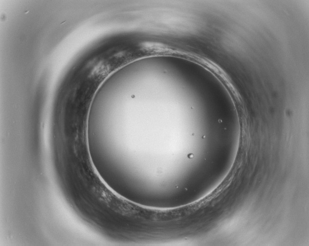 X0000060811199200511141458