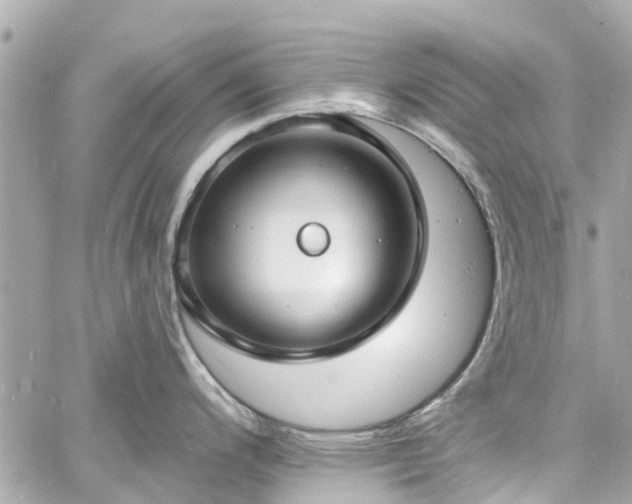 X0000060811200200511141458