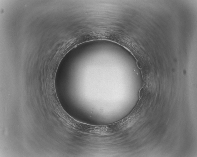 X0000060811201200511141457