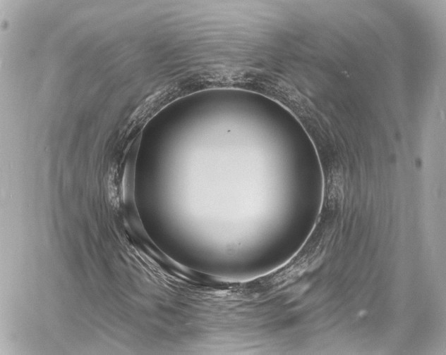 X0000060811202200511141457