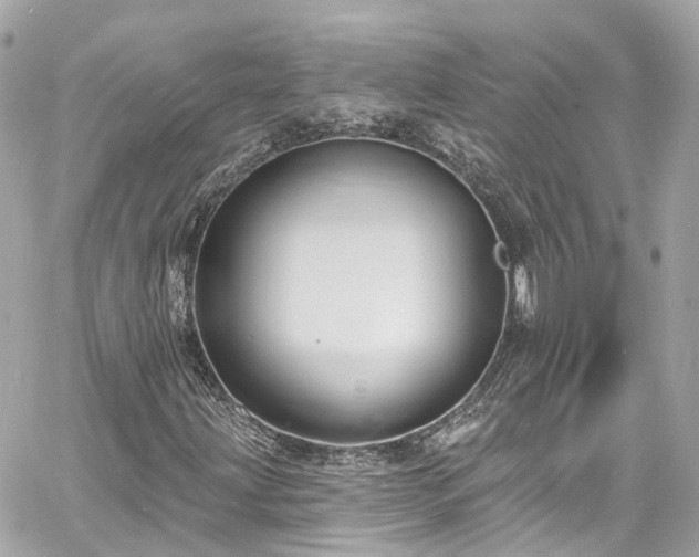 X0000060811203200511141457