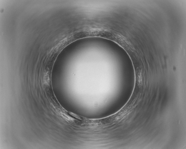 X0000060811204200511141457